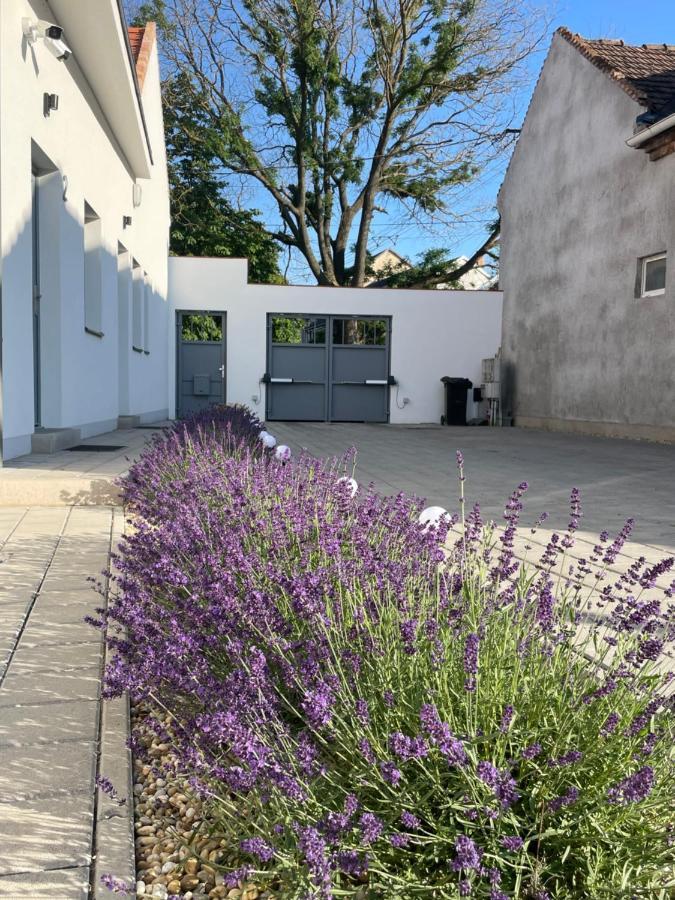 Dream Apartman Levél Zewnętrze zdjęcie