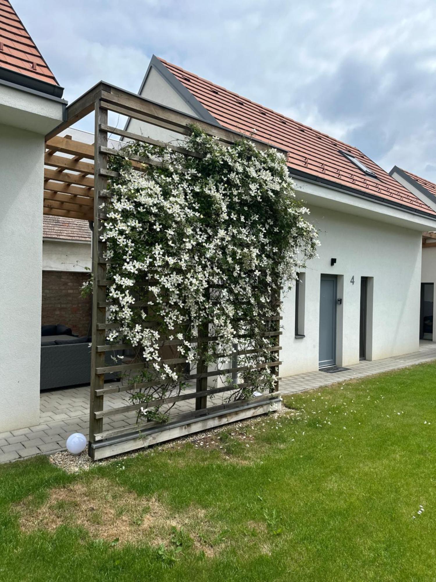 Dream Apartman Levél Zewnętrze zdjęcie