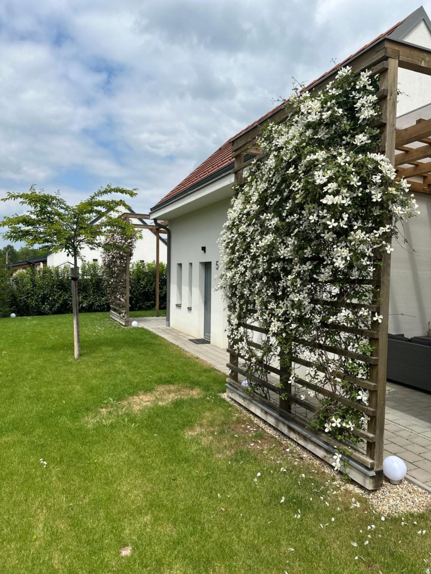 Dream Apartman Levél Zewnętrze zdjęcie